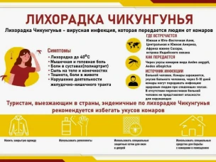 О лихорадках чикунгунья и Зика